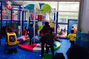 淘气堡电动海豚